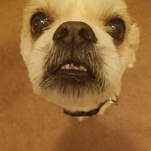 Meet your Posher, Mckenzie